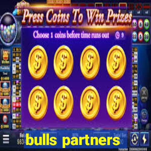 bulls partners