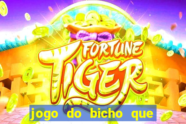 jogo do bicho que paga no pix