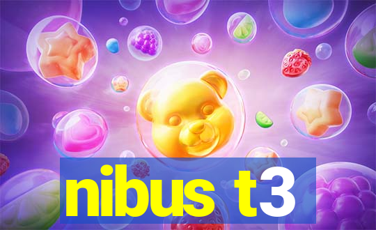 nibus t3