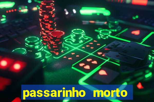 passarinho morto significado espiritual