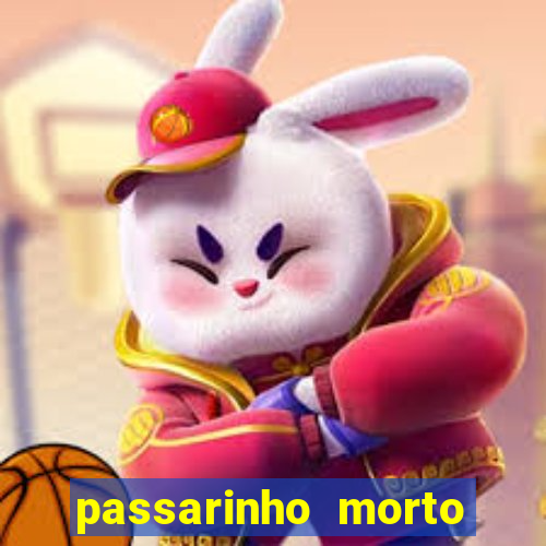 passarinho morto significado espiritual