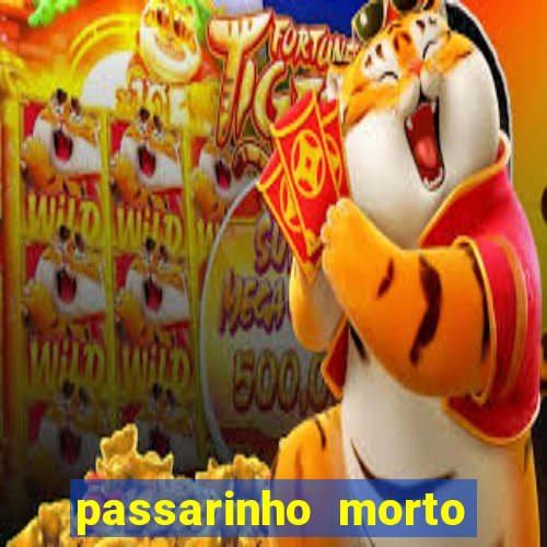 passarinho morto significado espiritual