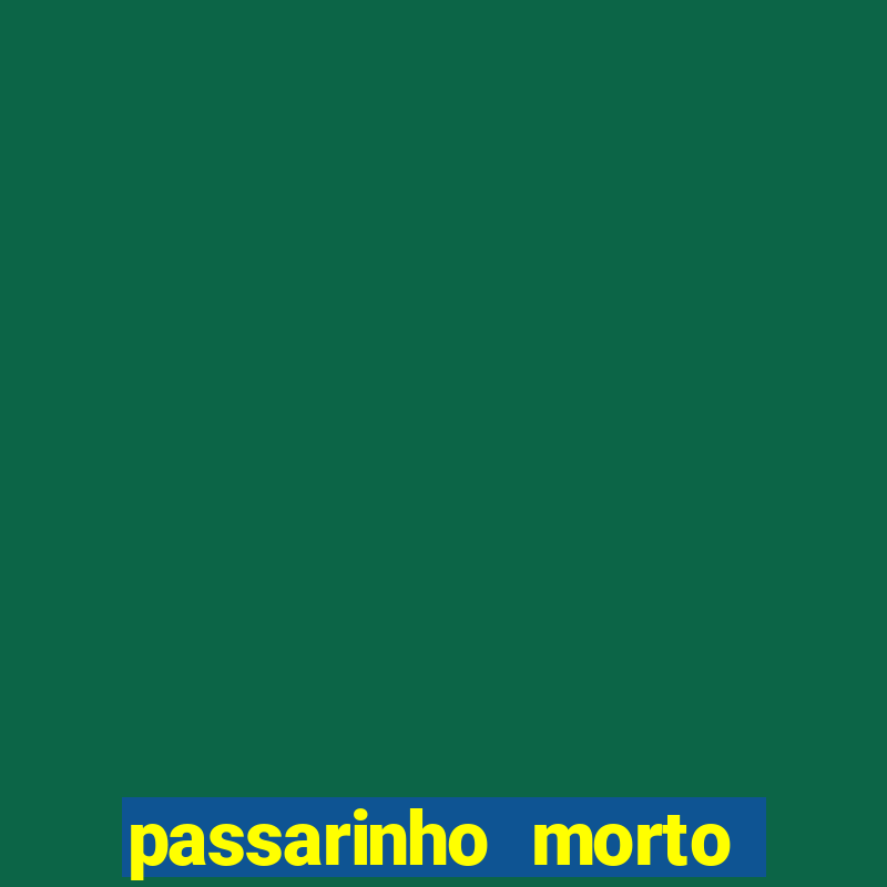 passarinho morto significado espiritual