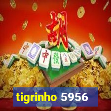 tigrinho 5956