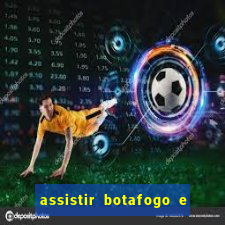 assistir botafogo e avai ao vivo em hd