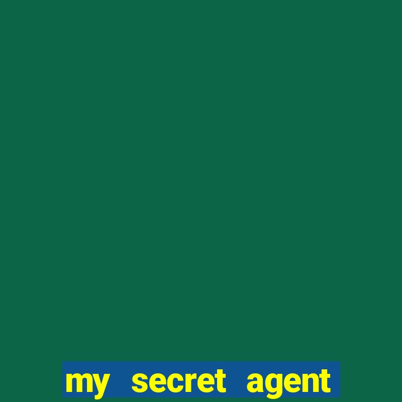 my secret agent husband legendado