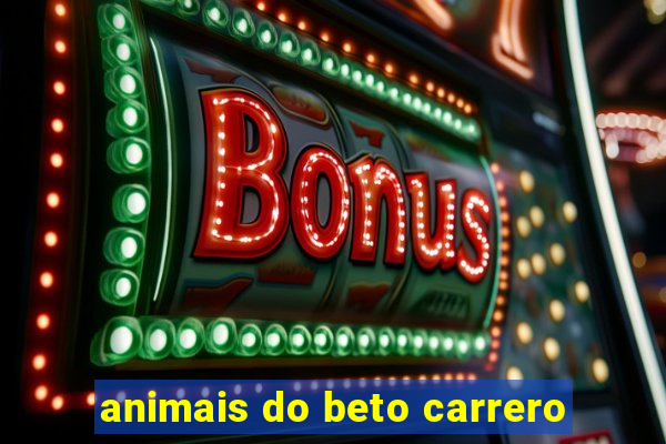 animais do beto carrero