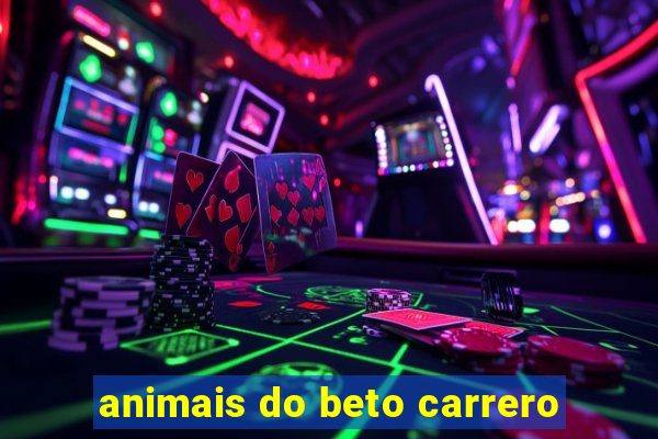 animais do beto carrero