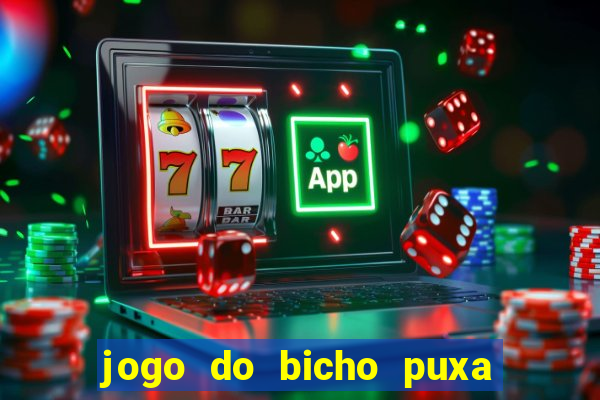 jogo do bicho puxa de dona maria