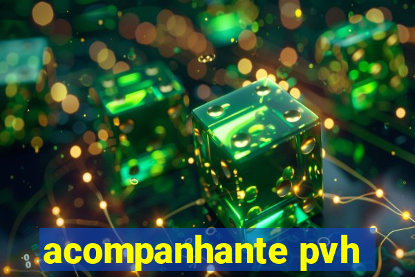 acompanhante pvh