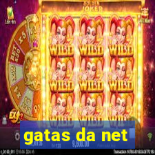 gatas da net