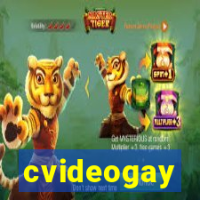 cvideogay