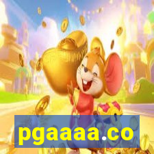 pgaaaa.co