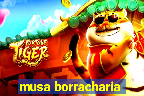 musa borracharia