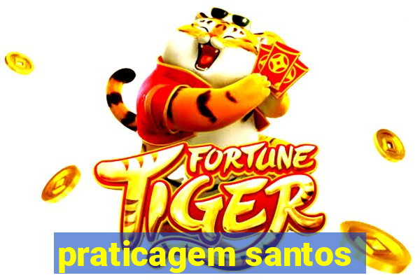 praticagem santos