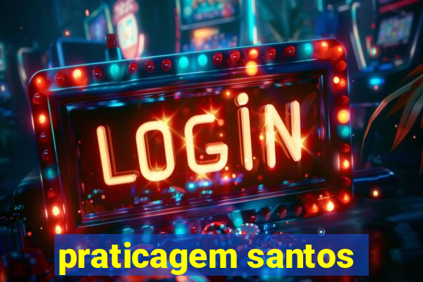 praticagem santos