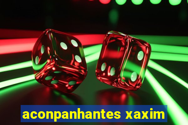 aconpanhantes xaxim