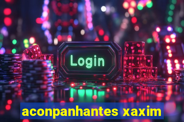 aconpanhantes xaxim