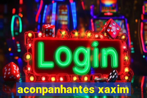 aconpanhantes xaxim