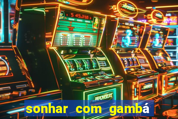 sonhar com gambá jogo do bicho