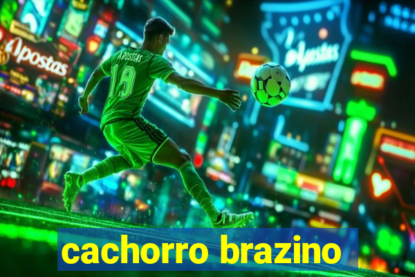 cachorro brazino