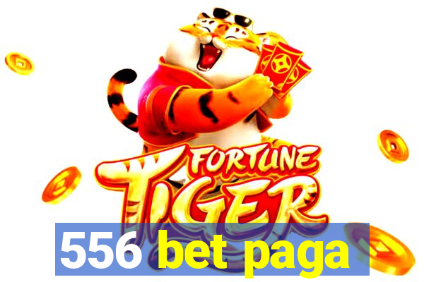 556 bet paga