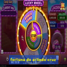 fortuna do arlindo cruz