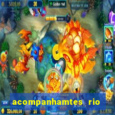 acompanhamtes rio de janeiro