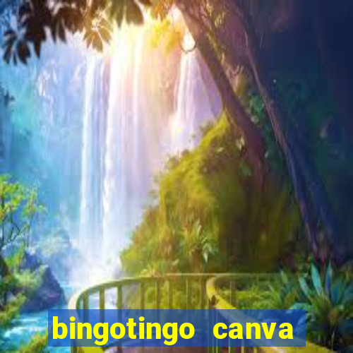 bingotingo canva pro gratis