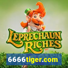 6666tiger.com