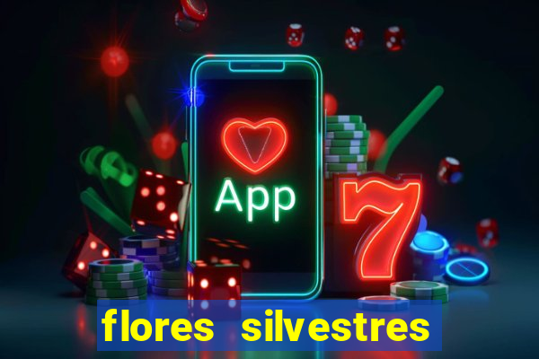 flores silvestres desbravadores desbravadores 25