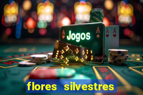 flores silvestres desbravadores desbravadores 25