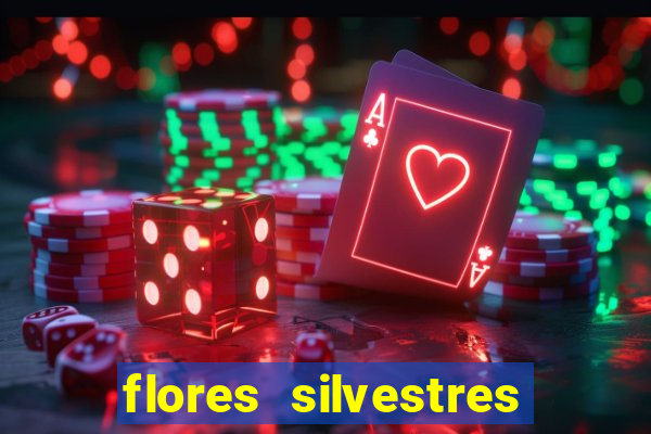 flores silvestres desbravadores desbravadores 25