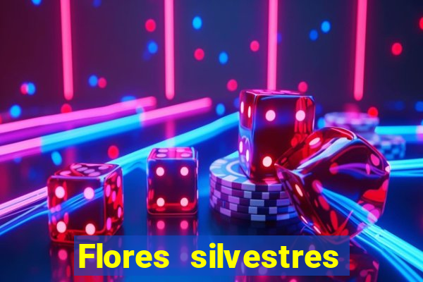 Flores silvestres brasileiras brasileiras flores silvestres nomes e imagens