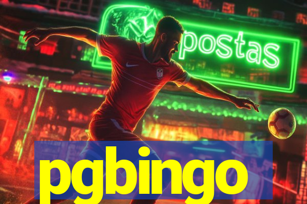 pgbingo