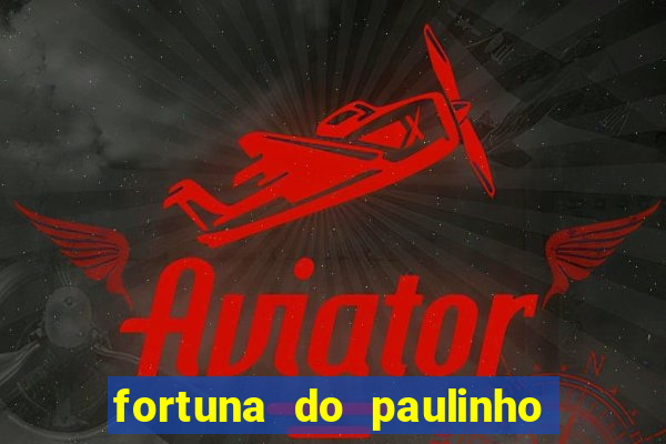 fortuna do paulinho do roupa nova