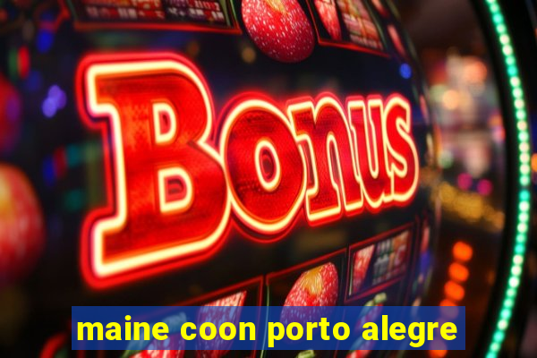 maine coon porto alegre