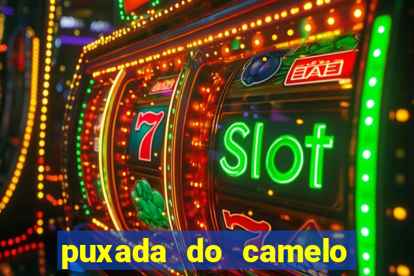 puxada do camelo no jogo do bicho