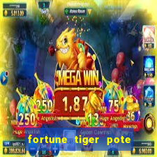 fortune tiger pote de ouro