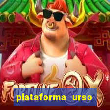 plataforma urso polar 777