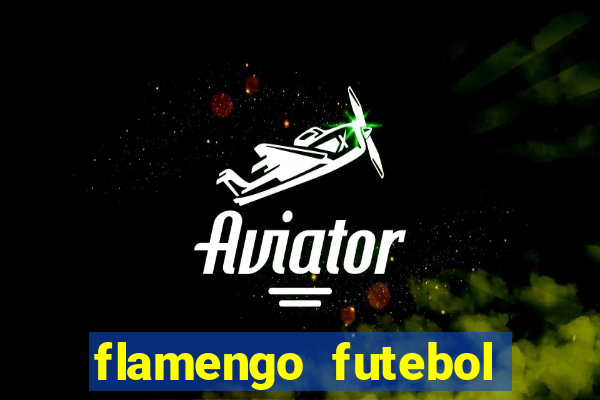 flamengo futebol play hd