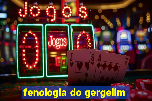 fenologia do gergelim