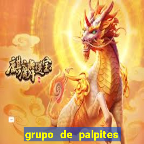 grupo de palpites de futebol telegram