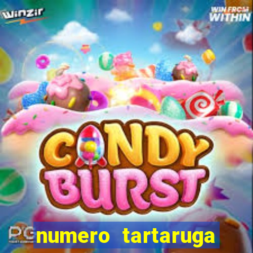 numero tartaruga jogo do bicho