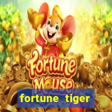 fortune tiger cassino pix