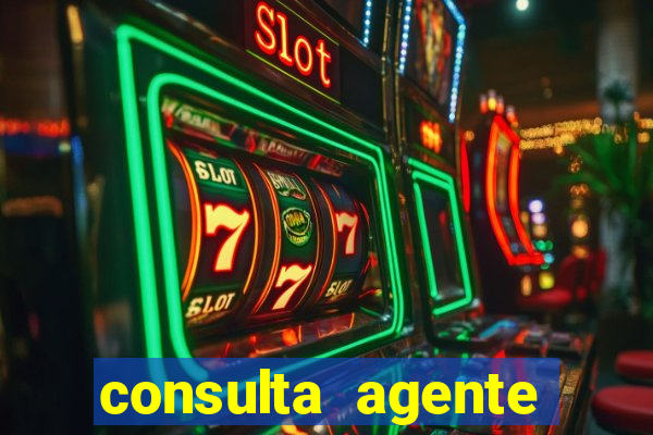 consulta agente autuador sp