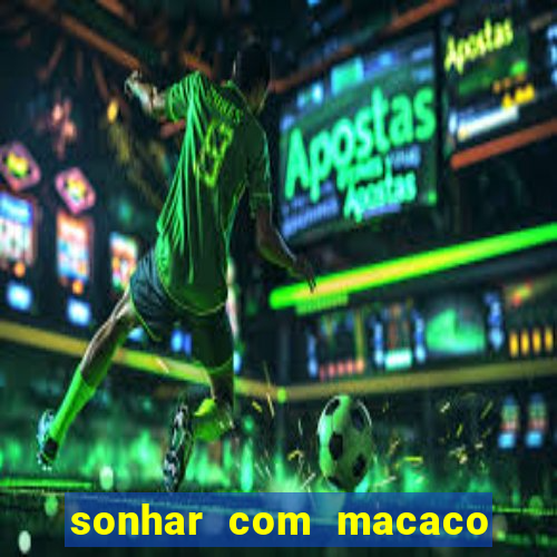 sonhar com macaco o que significa