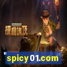 spicy01.com