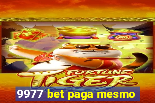 9977 bet paga mesmo