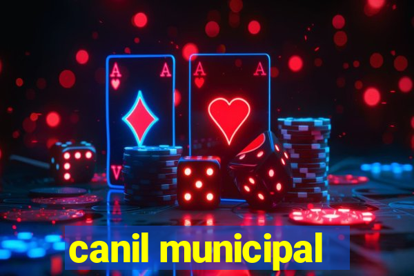 canil municipal